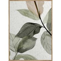 PLANTS КАРТИНА 50/70 СМ - Картини канава