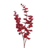 EUKALYPTUS ДЕКО КЛОНЧЕ 75 СМ - Разпродажба