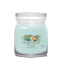 ALOE AND AGAVE АРОМАТНА СВЕЩ СРЕДЕН БУРКАН 368 г - 