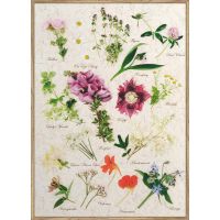 FLOWERS КАРТИНА 50/70 СМ - Картини канава