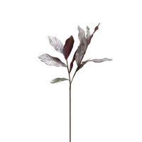 MAGNOLIA СТРЪК МАГНОЛИЯ-ЛИСТА 78 СМ - 