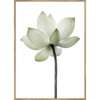 GREEN КАРТИНА 50/70 СМ - Картини канава