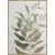 PLANTS КАРТИНА 50/70 СМ - Картини канава