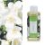 JASMINE & TUBEROSE ПЪЛНИТЕЛ ЗА АРОМАТЕН ДИФУЗЕР 150 МЛ - Аромати за дома