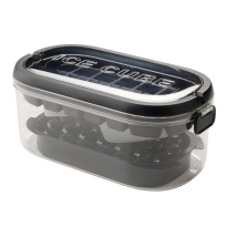 CUBE ФОРМА ЗА ЛЕД 22.7х12х9.6СМ