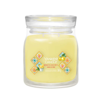 LEMON GELATO АРОМАТНА СВЕЩ СРЕДЕН БУРКАН 368 ГР