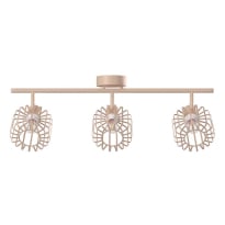 COVENTRY СПОТ 3X40W E14